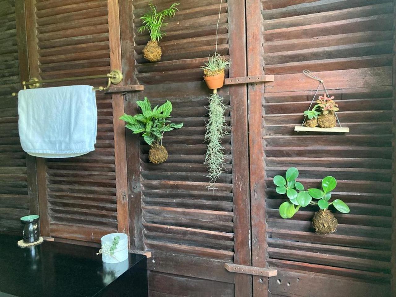 La Maison D'Indochine Hoi An Bagian luar foto